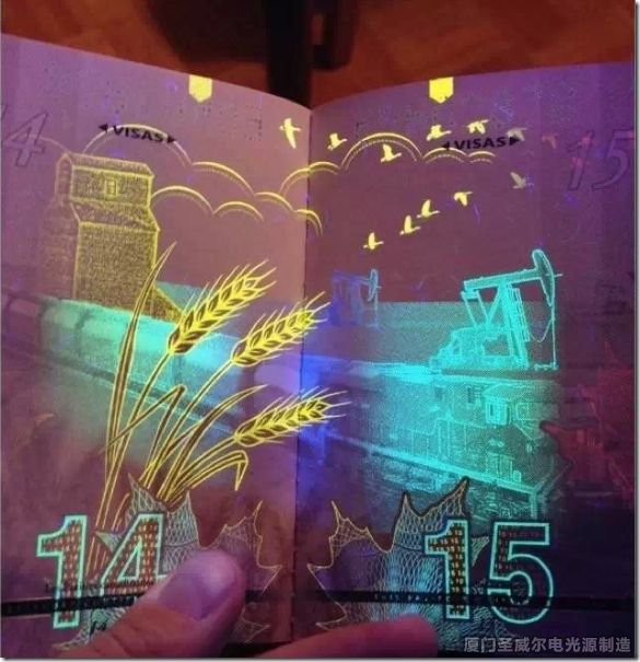 uv燈下的護(hù)照你看過(guò)嘛